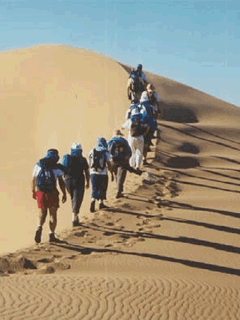 desert trek