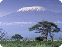 Kilimanjaro trekking