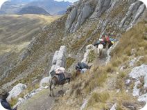 Peruvian Mountain